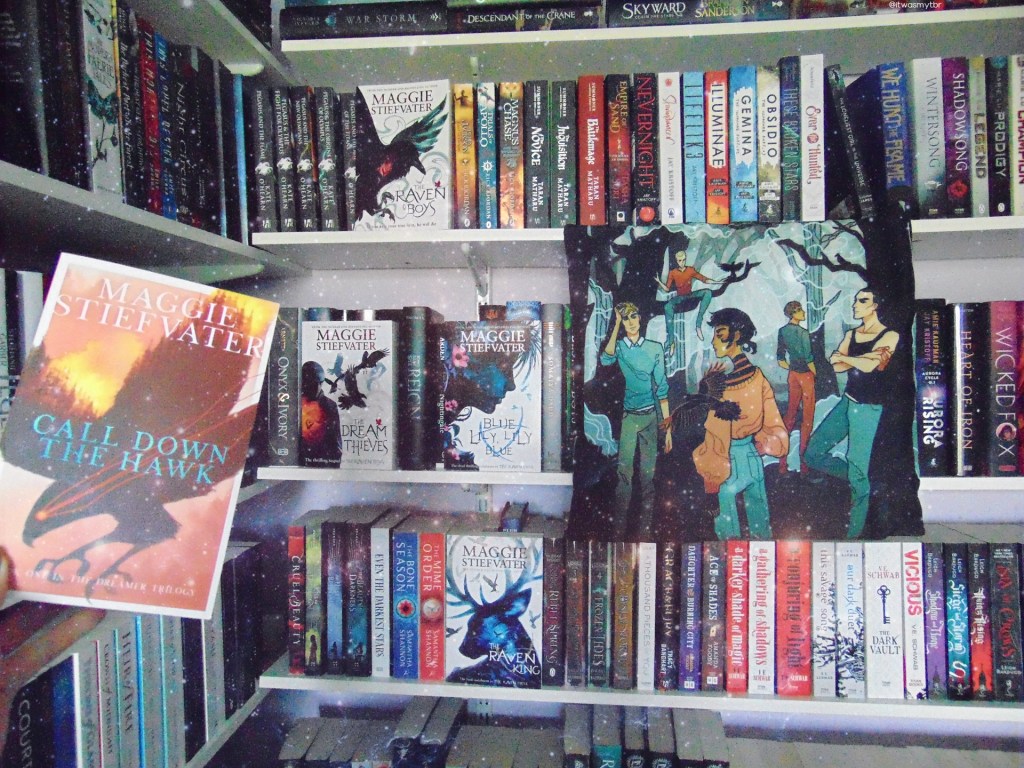 Book Review: Call Down the Hawk by Maggie&nbsp;Stiefvater